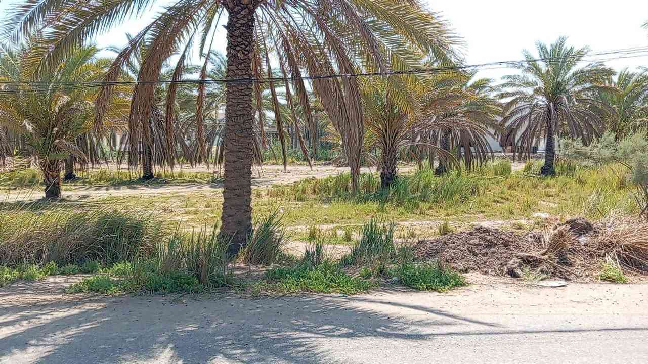 قطعة ارض للبيع ١٥٠٠ متر (طابو زراعي) محاطة بشارعين تبليط الشارع عرضه ٩ متر القطعة متوفر فيها كافة الخدمات كهرباء وماء اسالة وماء سقي، القطعة قريبة على الشارع العام جدا،( شارع كربلاء) القطعة تصلح لأي شي سكن او حسينية او مخازن . 
مكان القطعة شارع بغداد كربلاء عامود ٦٦٣
سعر القطعة ٢٠٠ مليون
للاستفسار ***********
