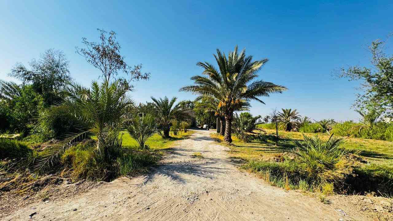 مكلف بالنشر للبيع
ارض  زراعيه 8دونم  تحتوي ع بيوت عدد 2
مكان فرع الامام  قريبه ع شارع الصويره 
للاستفسار ع الرقم ‏‪***********‬‏
‏‪***********‬‏

