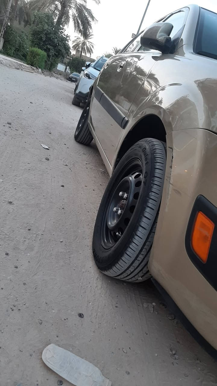 ريو امريكي • ٢٠٠٨ • بدون صبغ