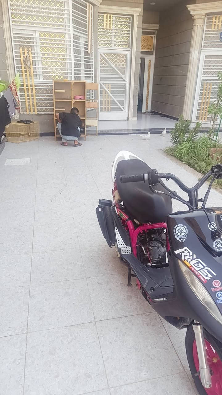 جه ماكس عدله مال لعب تعمير جديد 55 نكره سلف باي وقت ترايك وين ميعجبك لاحماوه ولاتنقيص دراجه قويه كلش شلعه تشك الكاع بيه كلج خلفي خرز كبار وسبرنك رياضي وخرز  رياضي دبل امامي رياضي وياله رياضي يعني دراجه مرتبه من كل نواحي ومابيه برغي نقص معدل حلو دراجه كلش قويه سعر 650 وبيه مجال حك الجيه او مراوس منغولي او عدله حسب قناعه مكاني دوانيه حي جامعه *********** بي واتساب
