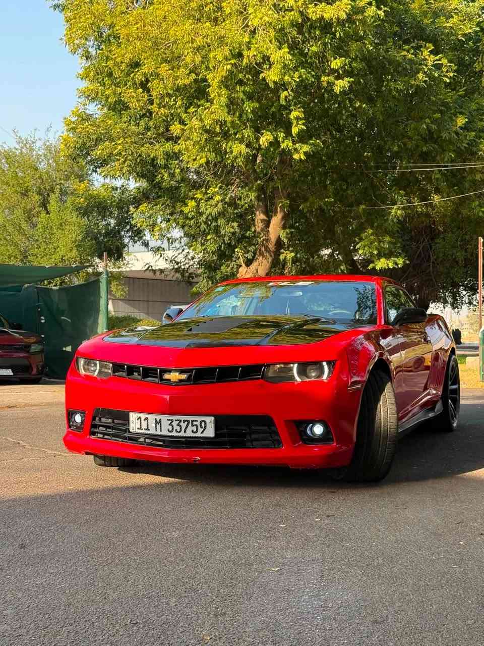 بيع مستعجل ارخص كمارو بهيج فئة ومواصفات وتزويد مستحيل تحصل اخته
كمارو 2014 1Le v8 
6.2 ls3 حجم المكينة
سيارة بدون ايرباك فول سليم
بدون شواصي و لغد سليمات
ممشى 44،000 ميل 
 فول مواصفات السيارة شاشة جبيرة نضام ماي لنك كامرة خلفية
تايرات سيمي تويو تربل 8 سلك
كشنات تدفئة وكهرباء ثنينهم وحساسات 
التزويدالي عليه مصروف عليه 
 مكينه ستوك مملعوب بيها شورت شفتر و كلج معدل  و هوائيات  شوتة روتو فاب 
هدرز 3 انج اكزوز بورلا اتاك اصلي قفايص 
بلكات و مجاول و وايرات معدلات و داتا شو تعرض العدادات على الجامة الامامية
 لايتات امامي خلفي led  وكيجات يم الكير  نظام صوت Boston كلش حلو  و انارة داخلية بلادية
سياره بيه صبغ صفحة ابيعه مصبوغة حزام 
سيارة رقم بغداد باسمي تحويل ثاني يوم
مكان السيارة بغداد
سعر سيارة 10،500 $ فقط بيه مجال بسيط
رقم تواصل ***********
