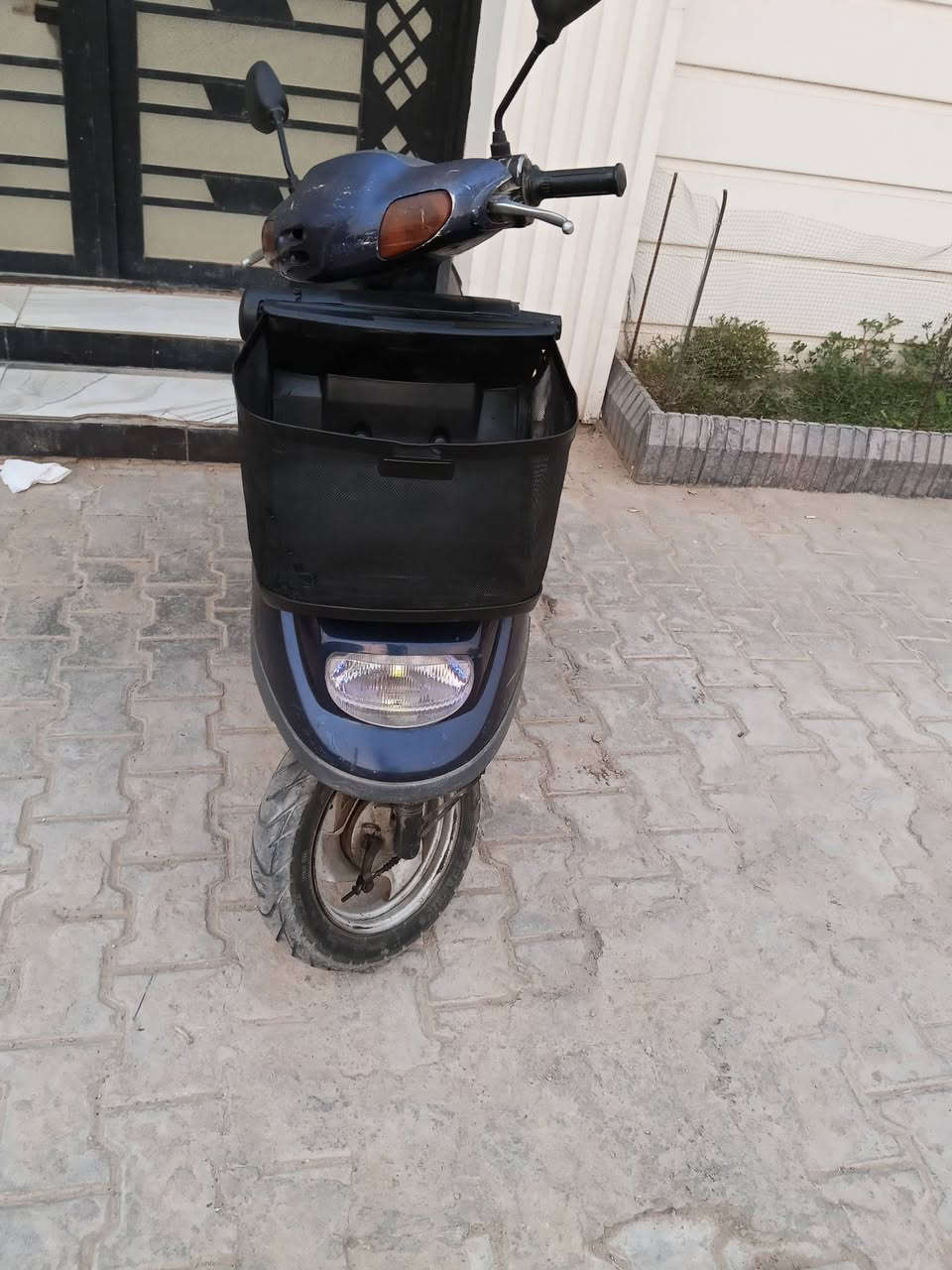 منغولي • نضيفه • معدل