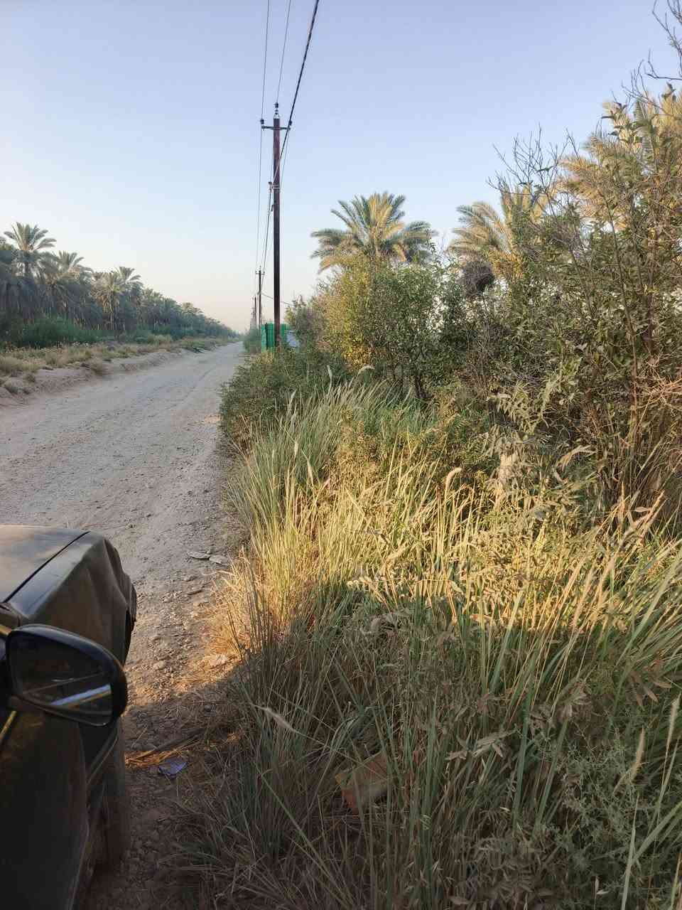 سلام عليكم للبيع 750 متر سند 25 تحويل مباشر بسم المشتري بغداد الراشدية قرية العراكنة تبعد عن ناحية ربع ساعة وعن شارع العام طريق بغداد كركوك 2 كيلو كهرباء ماء سقي ماء اساله تصلح سكن او مزرعة مكان جدا راقي واجه 17 ونص نزال 44 بيه 13 نخله حماله تبعد عن تبليط 50 متر السعر 57 وبي مجال  ***********
