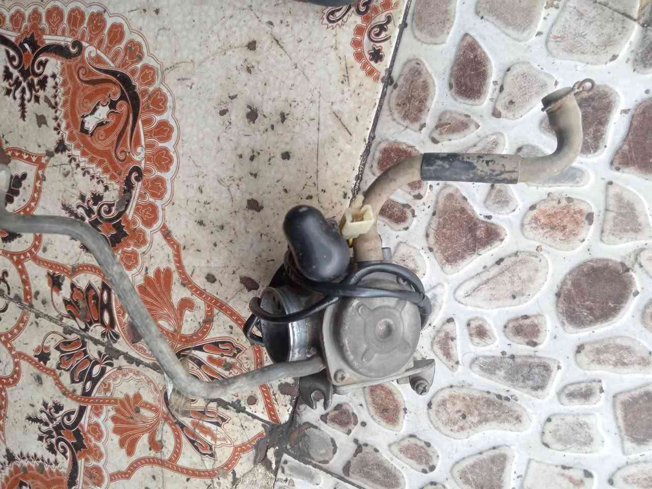 سبيسي • أصلي ياباني • واسط كوت