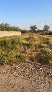 للبيع قطعة أرض زراعية 400متر في الدورة منطقه عرب دليم مقابل دوانم بيت ...