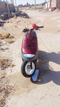 بطه • نضيفه • احمر
