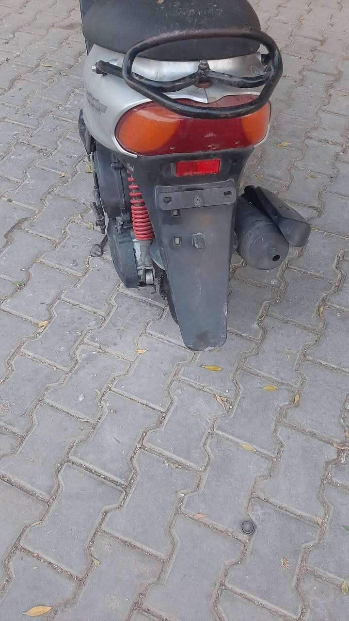 ماكس بلاديه • سلف • كهربائيات