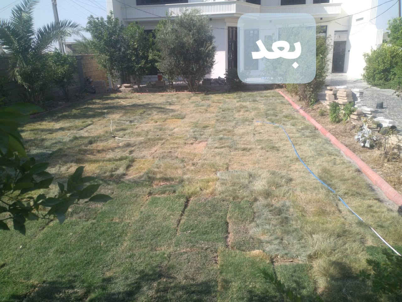 من رخصت ادمن
سلام عليكم عملي تجهيز مزارع من انواع مختلفة من الشجار وكذالك يوجد فسائل نخيل وامايات 
وكذالك عملنه في الحدائق ديكور حدائق لاين زراعة الثيل بنواعه زراعة انواع الورد وادامة الحدائق وتنضيف وكذالك قص اشجار نخيل وغيرها 
ومن الله التوفيق 
الأتصال:***********

نص مكتوب في الصور:
- قبل
- بعد