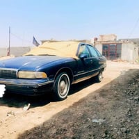 دولفين ٩١ • بدون صبغ • رقم قادسيه