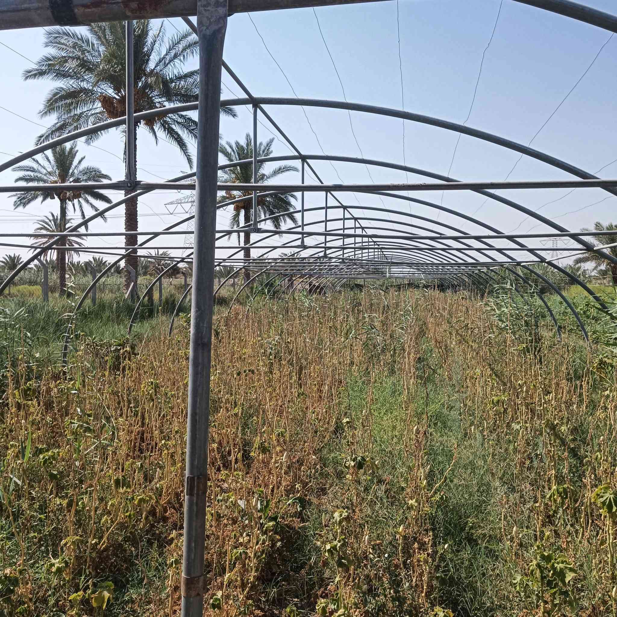 بيت زجاجي لبناني جديد مستخدم موسم واحد فقط للاستفسار الاتصال على الرقم ***********
