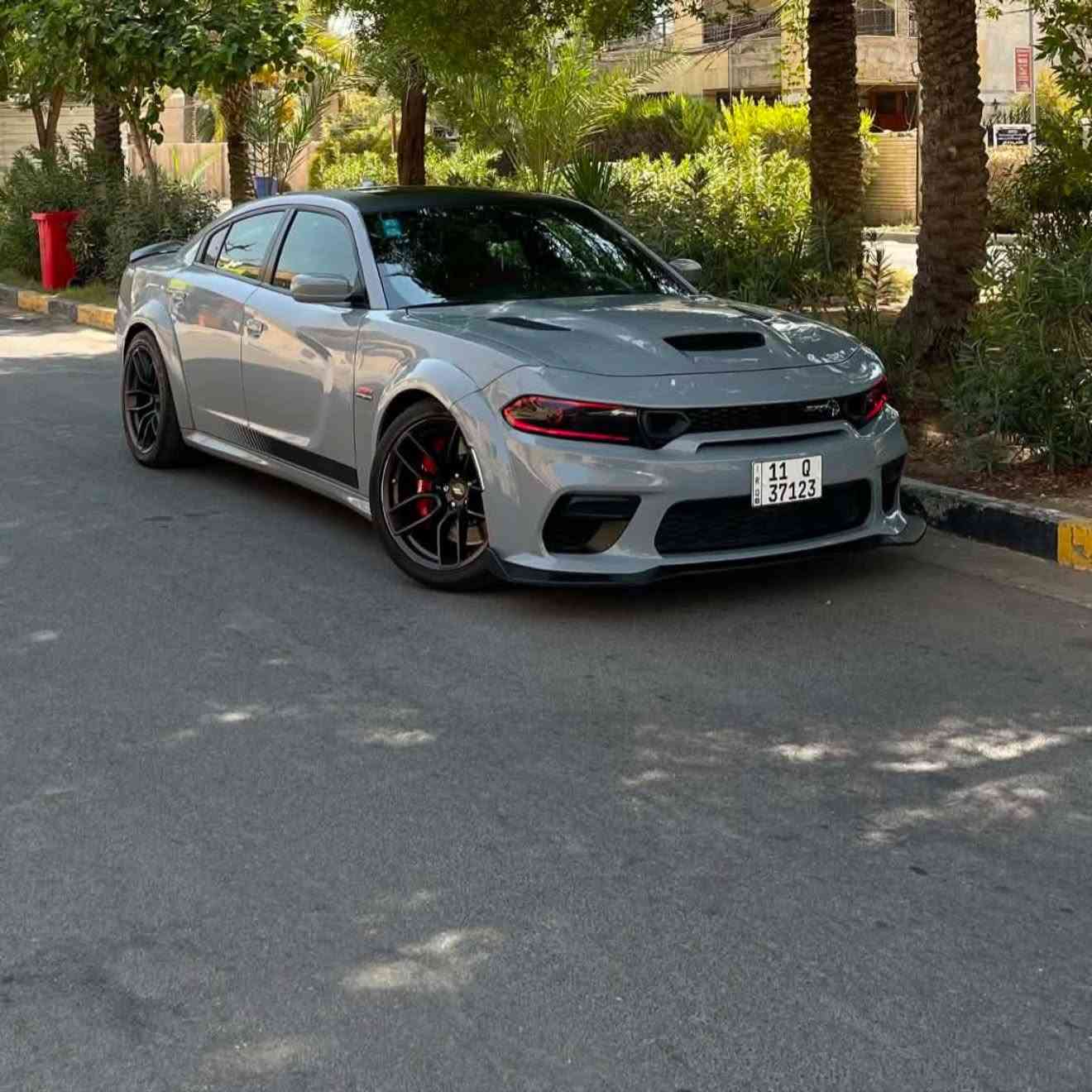 ⭐️ استخدام يومي فقط
دوج جارجر سكات باك موديل 

2022 وايد بدي اصل

اللون سموك 

محرك 6400  فول  للاخير ما عدا الرادار الامامي فقط ماشيه 43 كيلو مو ميل🛑    

حادثها جاملغ وبنيد وبارد بالجاملغ الخلفي وموجود سونار

مواصفات 
فتحه سقف 
رادار جانبي 
داخل احمر 
تبريد تدفئه  كشنات
سستم صوت هارمن كاردن  
حساس خلفي 
كشنات خزن ميموري  كهرباء
منظومة زنون جديدة 
لدات تكساس
لدات متغير مع عدسة شيطان 
ولف حماوه ريسنك 
بلكات ريسنك 
ادامها عليها مستمره 
برمجة مصطفى ايكل سيفتي بدون لا استعراض ولا كبس ولا كلشي سيارة استخدام يومي وقليل  

. سياره رقم بغداد بسمي. مكانها بغداد

 السعر 265 السيارة جديدة بمعنى الكلمة حتى الكتلوك مالتها موجود وبالعافية على الياخذها 

والمتعجبة السيارة جوة رجل اصغر واحد بالكروب 

‭  ***********‬ للاستفسار

ومتواجد واتساب هم
