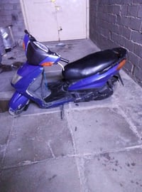سكنس نثية • كابريتر • بدون اوراق