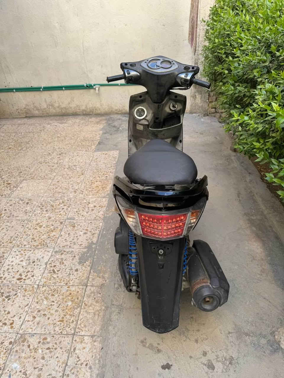 سلام عليكم سكنس فحل طلاعات كولدن للبيع درجه بلاديه كلشي مابيهه نقص مكان الامين الثانيه سعر ٨٥٠وبيع مجال بصيط نكره بكل وقت ***********

