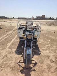 ستوتة • ٢٠٢٠ • شاصي