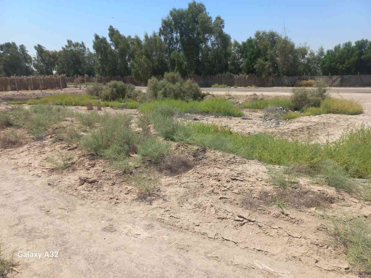 طريق سومر عفك • ٣ دوانم • طابو سند ٢٥