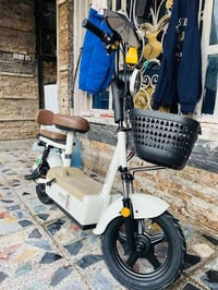 دراجة شحن • بطاريات حمض الرصاص • ١٠٠كم