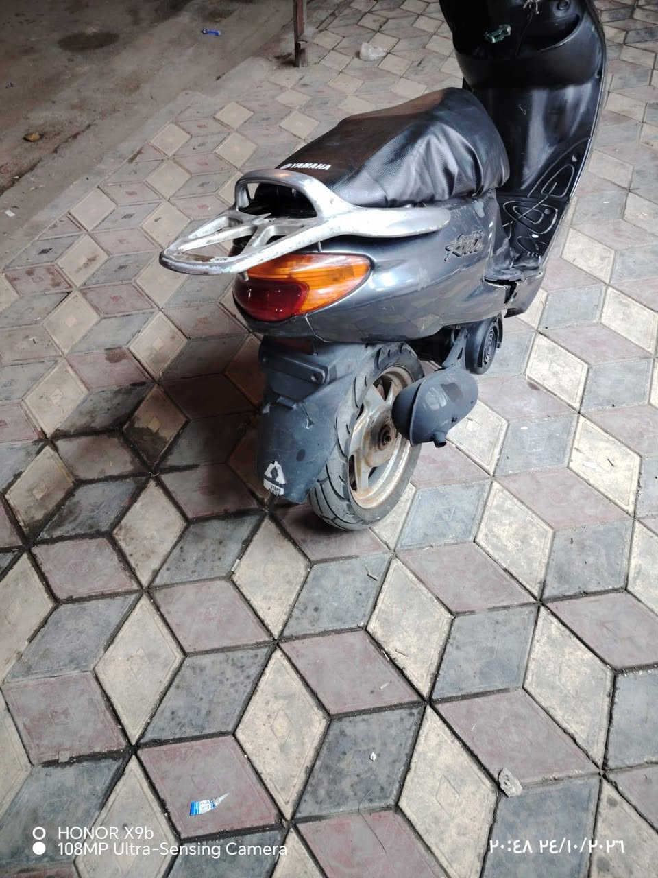 اكزز • فحل • سلف