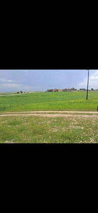 قزفخرة سايدين • ٢٥٠٠م • ملك صرف