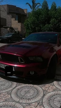 موستنك 2012  بجم شيلبي السياره بدون دواخل بدون شاصي بيها طخات ابيع صبغ...