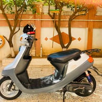 مطور بوتين • سلف • معدل
