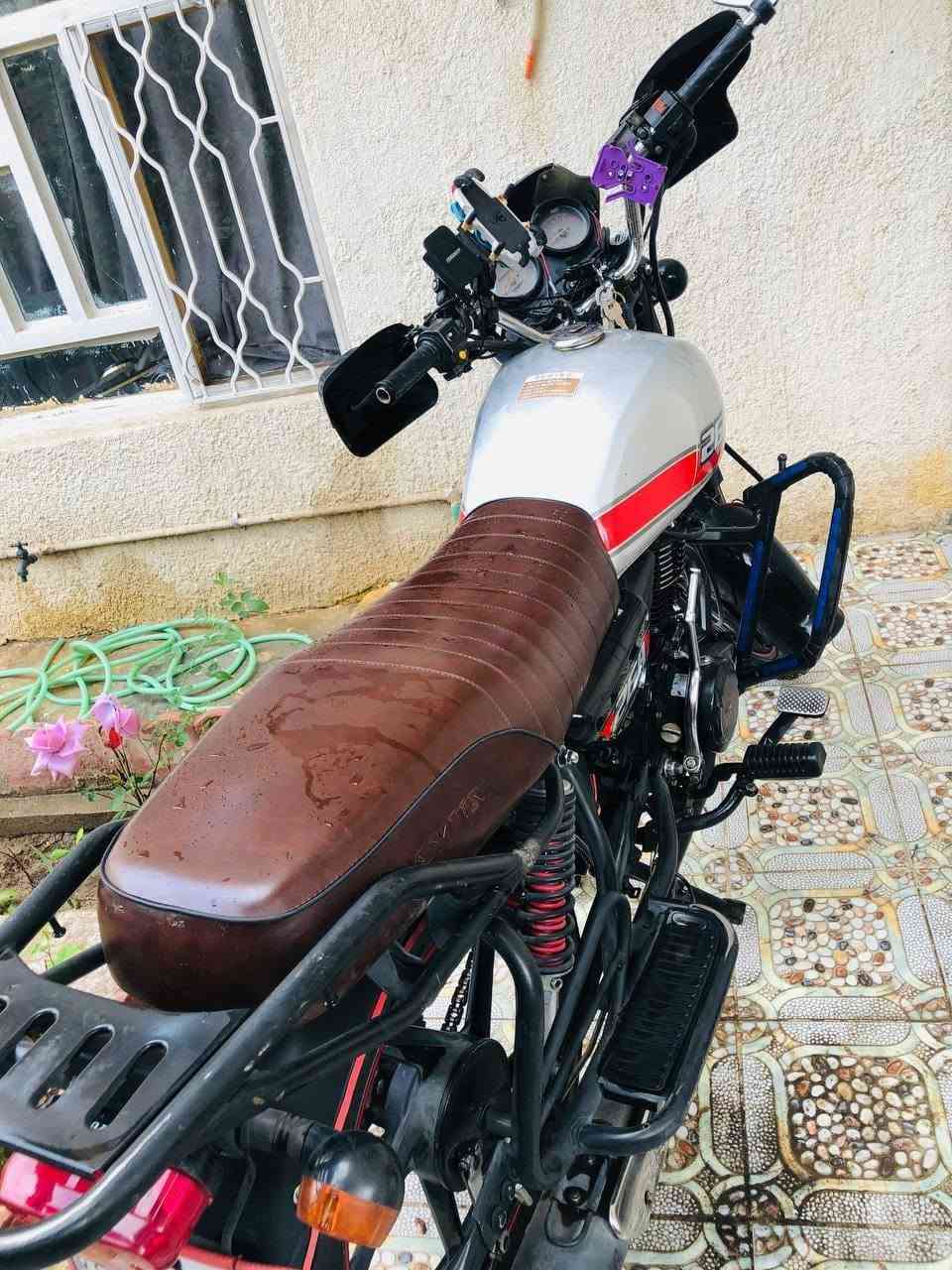 دايون • 2023 • شركه