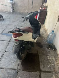 اكزز • سلف • البصره