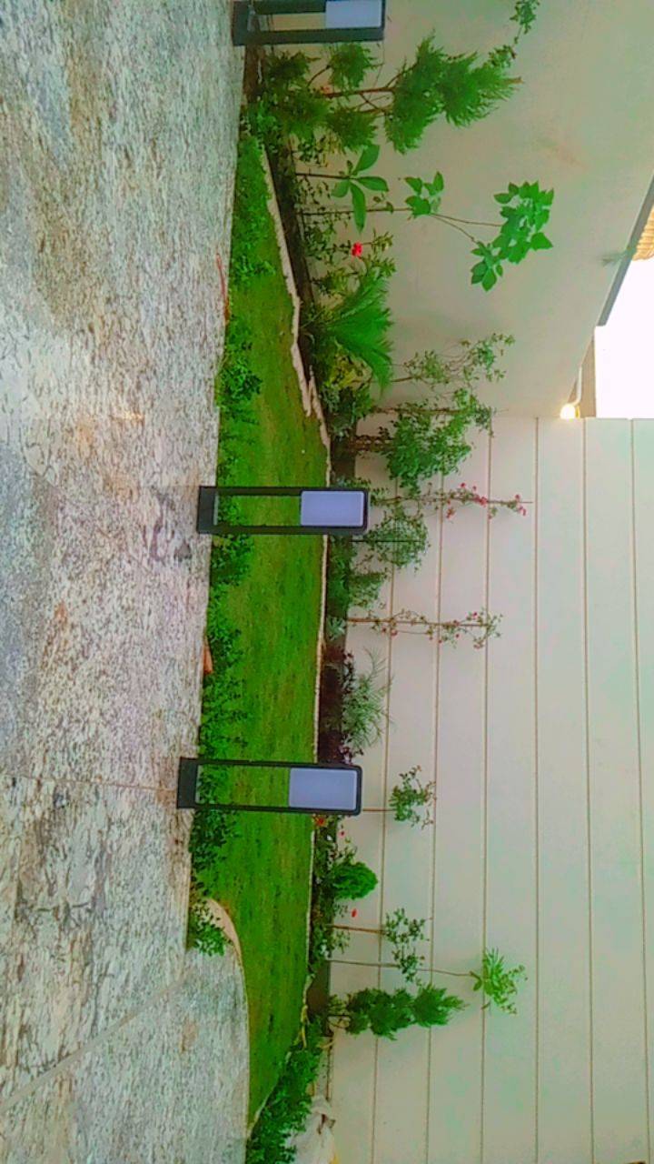 حدائق مودرن • زراعة نخيل • بغداد