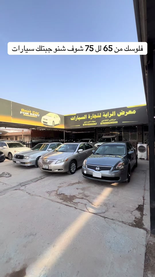 معرض الراية • النجف • سيارات