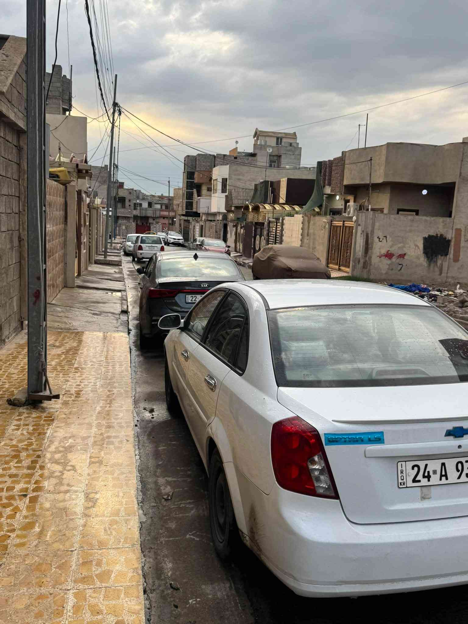 اوبترا • ٢٠١١ • بدون صبغ