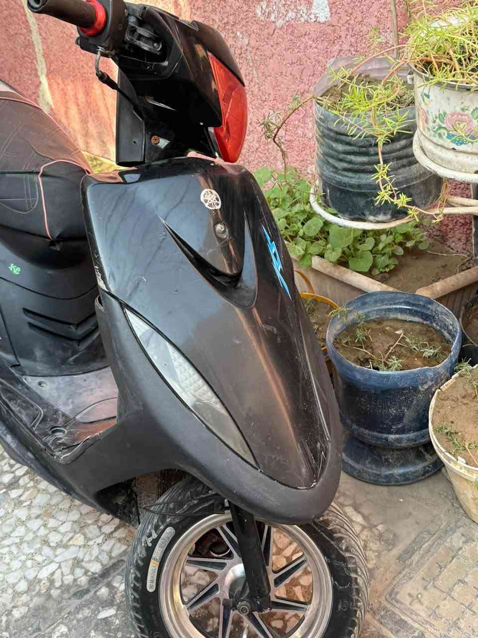 ماكس عدلة • نظيفه • بياع شهداء