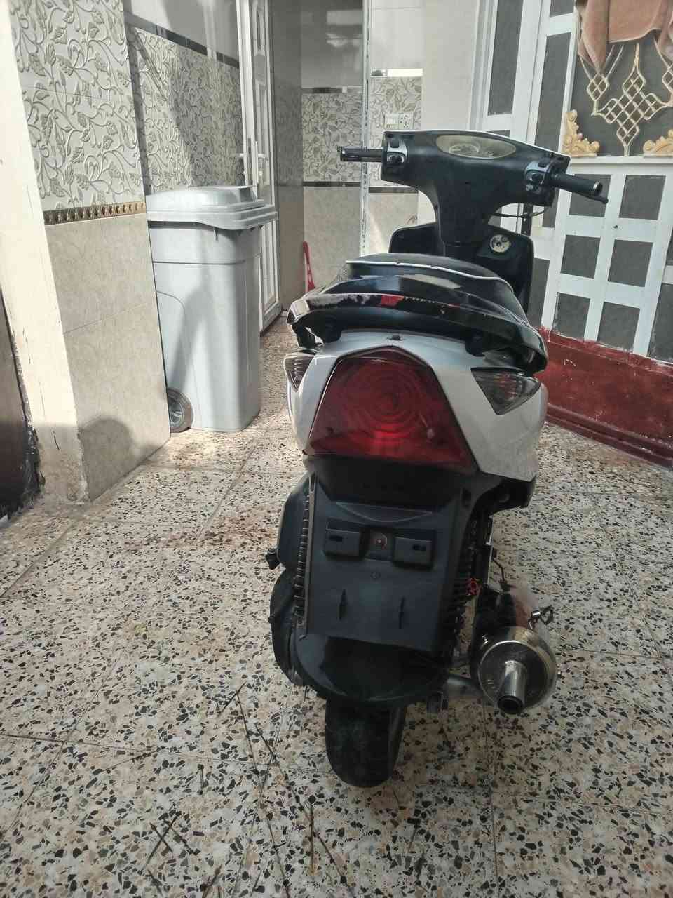 ماكس ثعلب • جسردياله • زعفرانيه