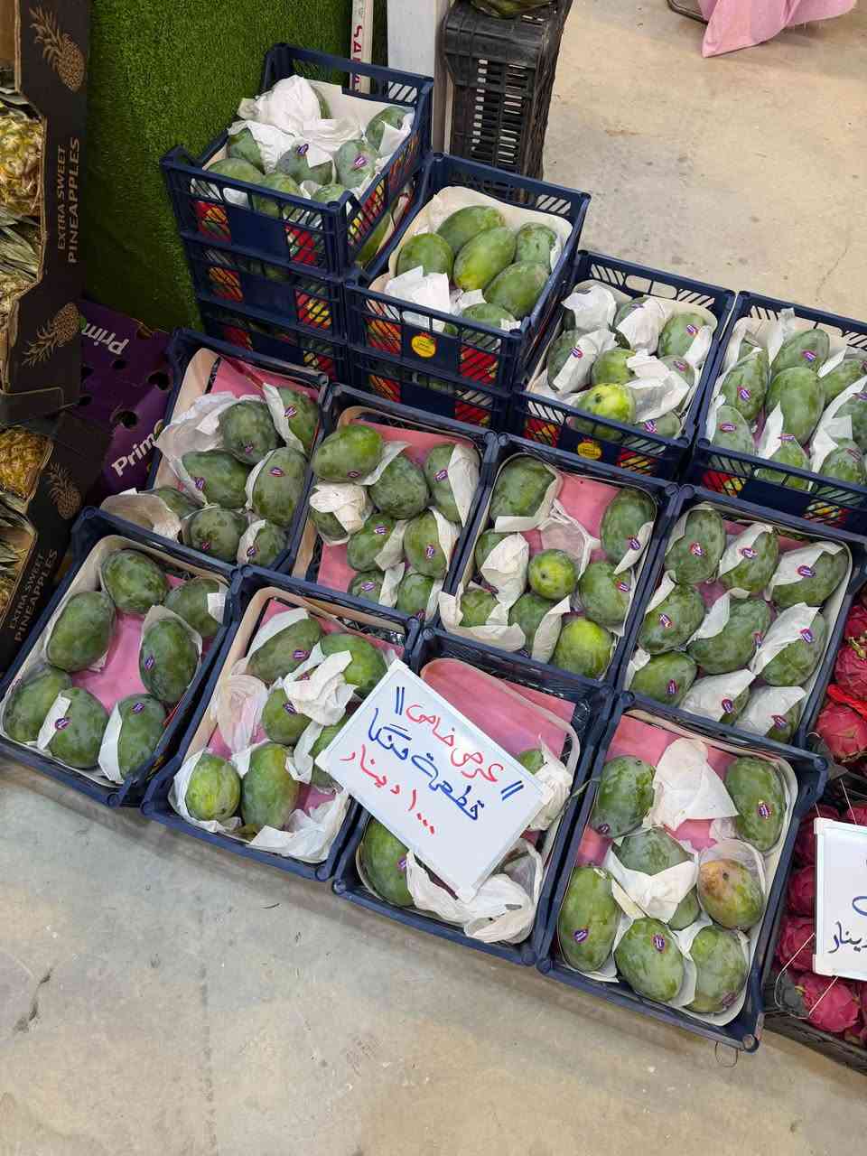 عروض اليوم • منجا قطعتين • نزلة الجسر