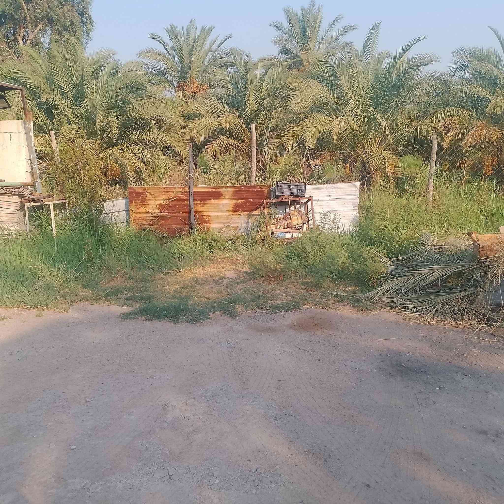 السلام عليكم ورحمه الله وبركاته نصف دونم مع بيت بنيان جديد سنه 22 فول مواصفات الوجه مال نصف دونم 13 ونزال من سده لشط طابو صرف البيت طابوك صب كونكريت مساحه البيت 250 متر مع جميع انواع الاشجار المثمره مع حوض اسماك العنوان ميسان بساتين دفاس قرب الاساله الماي ثانية الاستفسار ***********
***********
السلام عليكم ورحمه الله وبركاته نصف دونم مع بيت بنيان جديد سنه 22 فول مواصفات الوجه مال نصف دونم 13 ونزال من سده لشط طابو صرف البيت طابوك صب كونكريت مساحه البيت 250 متر مع جميع انواع الاشجار المثمره مع حوض اسماك العنوان ميسان بساتين دفاس قرب الاساله الماي ثانية الاستفسار ***********
