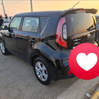 وارد امريكي • ٢٠١٧ • الكوت