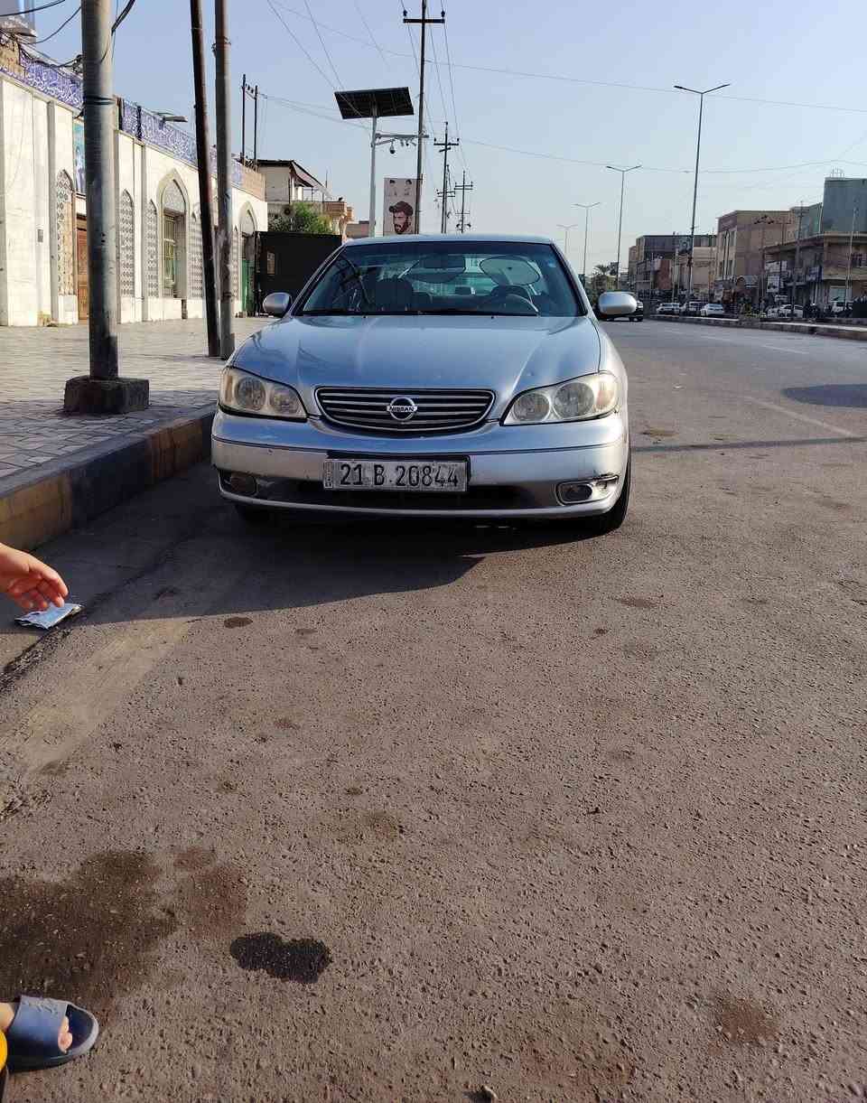 مكسيما • V6 • ٢٠٠٨