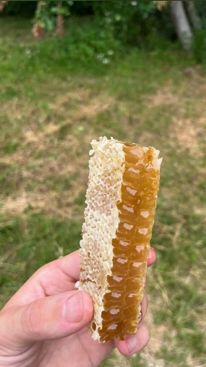 السلام عليكم
من رخصت صاحب الكروب
متوفر عسل 🍯طبيعي وشمع عسل
متوفر توصيل كل انحاء بغداد
متوفر تجهيز ب جملة لل استفسار
789 133 1557 واتساب
