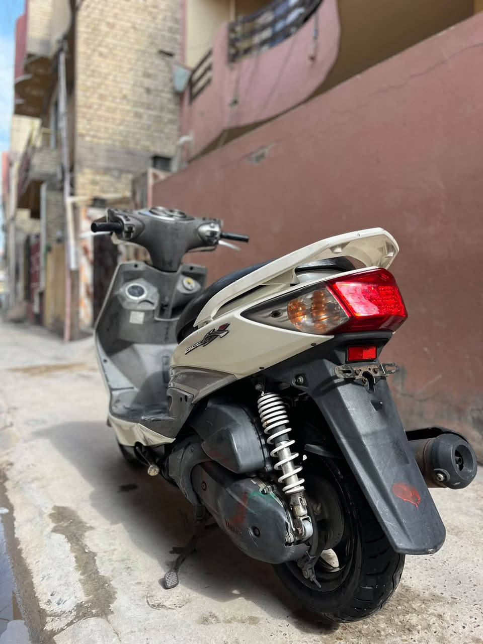 سكنس فحل • ماشيه ١٢الف • كفالة
