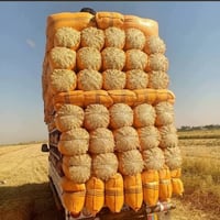 نضيف • ستندر • حجم 60