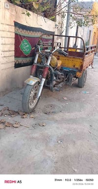 ستوته فرس • رقم ابيض • عليها مجال