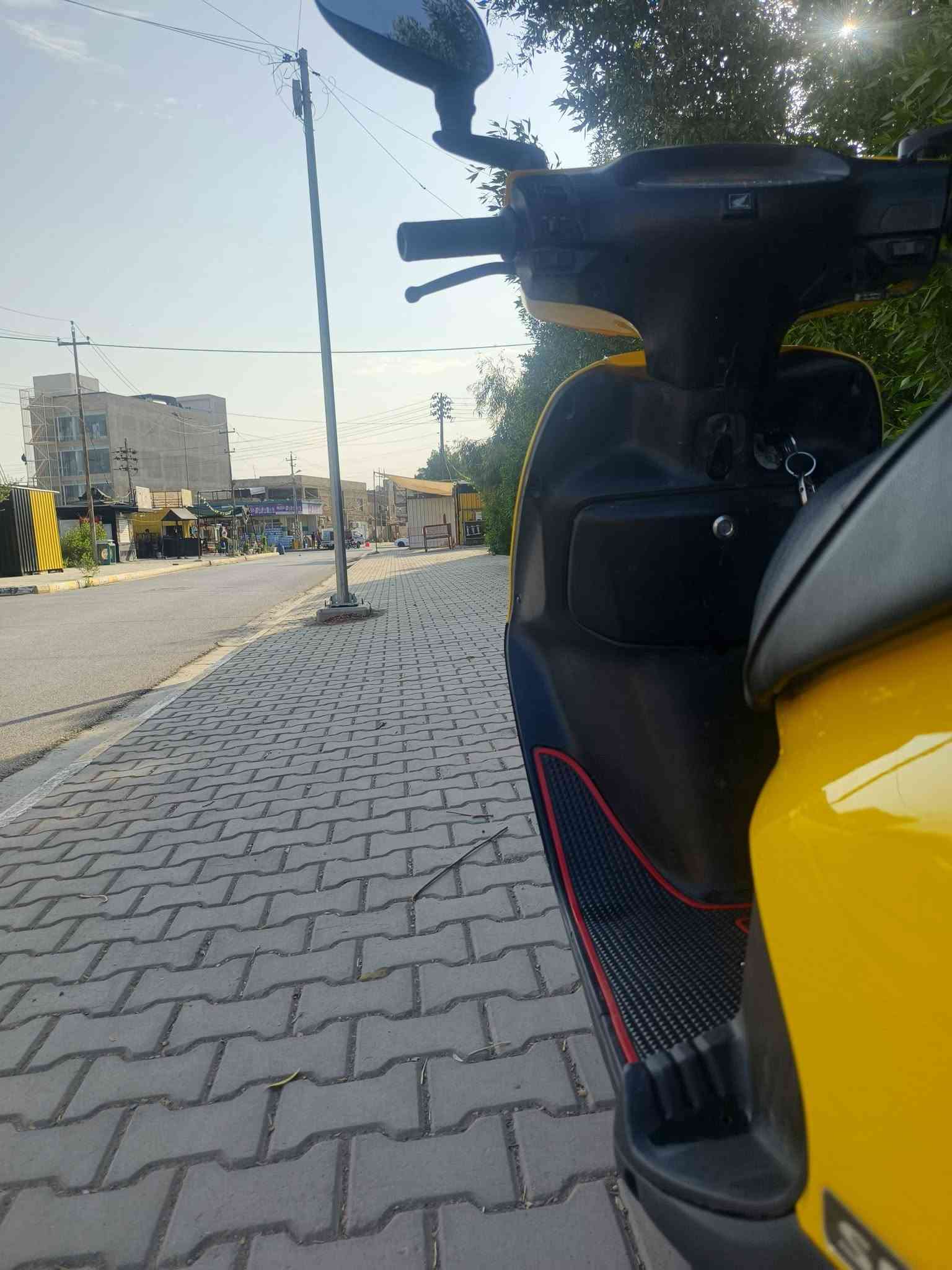 سبيسي • ياباني • سلف