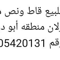 دار للبيع • ١٠٠م • أبو درع