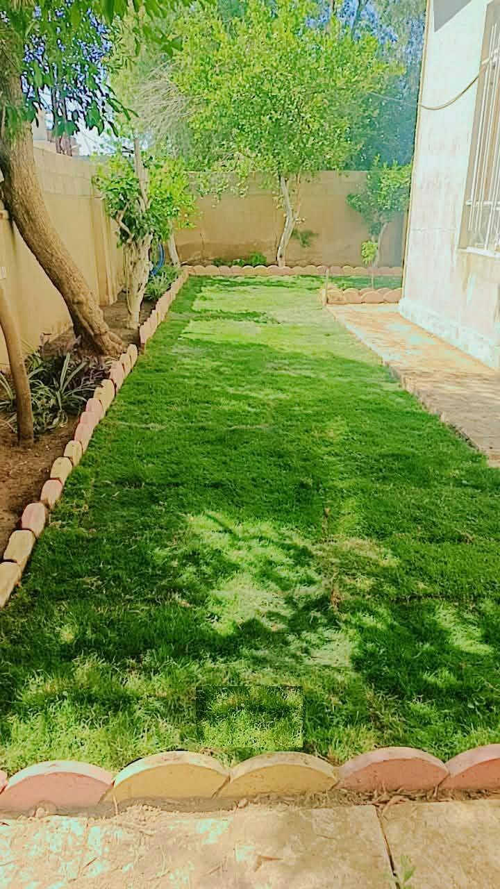 مستعدون لتاسيس وتصميم الحدائق وقص الثيل ومعالجة الاشجار المريضة للتواصل ***********-----***********
