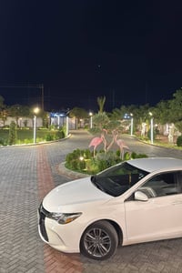 🍃✨ مزرعة فدك الترفيهية ✨🌿 مكانكم المثالي للراحة، الوناسة وقضاء أجمل ال...