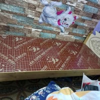 قريولة نفر • مستخدمه نظيفه • الحرية شارع البستان