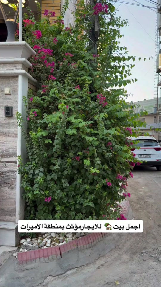 ⁨	#بيت_مؤثث_للايجار_المنصور_الاميرات ***********⁩

نص مكتوب في الصور:
- اجمل بيت 🏡 للايجارمؤثث بمنطقة الاميرات