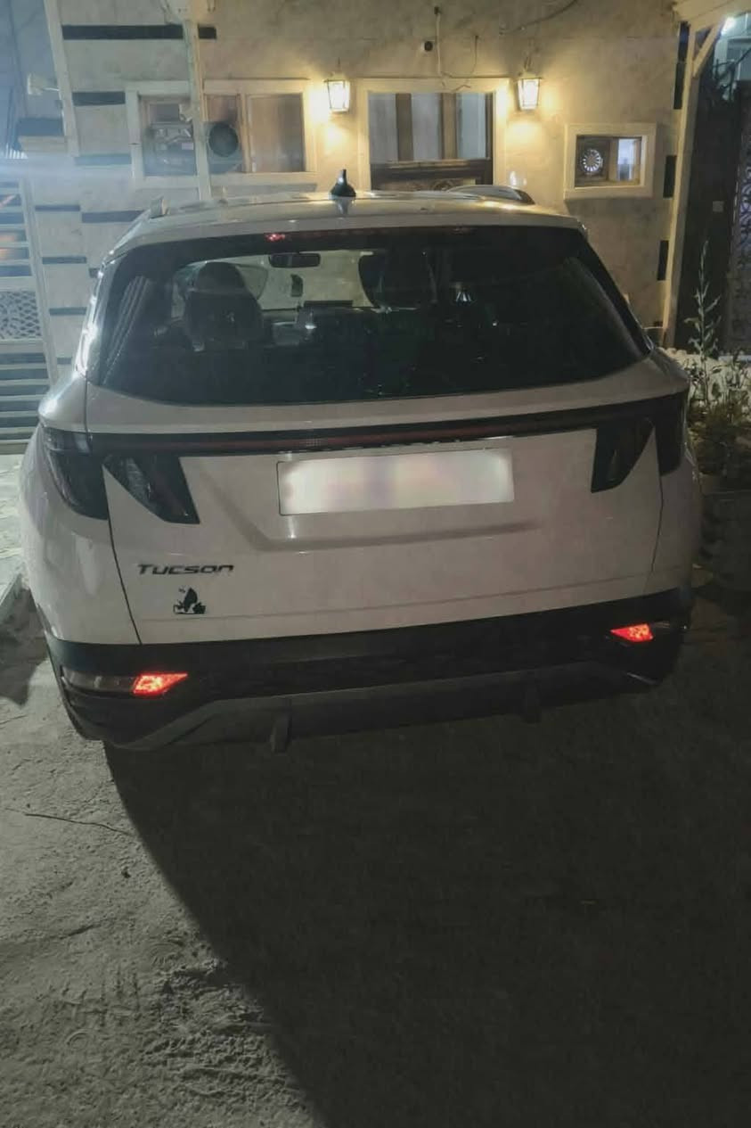 فول مواصفات • ٢٠٢٠ • رقم اربيل
