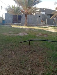الشبانات البزل الثالث • ٤٠٧م • دار ١٨٠م
