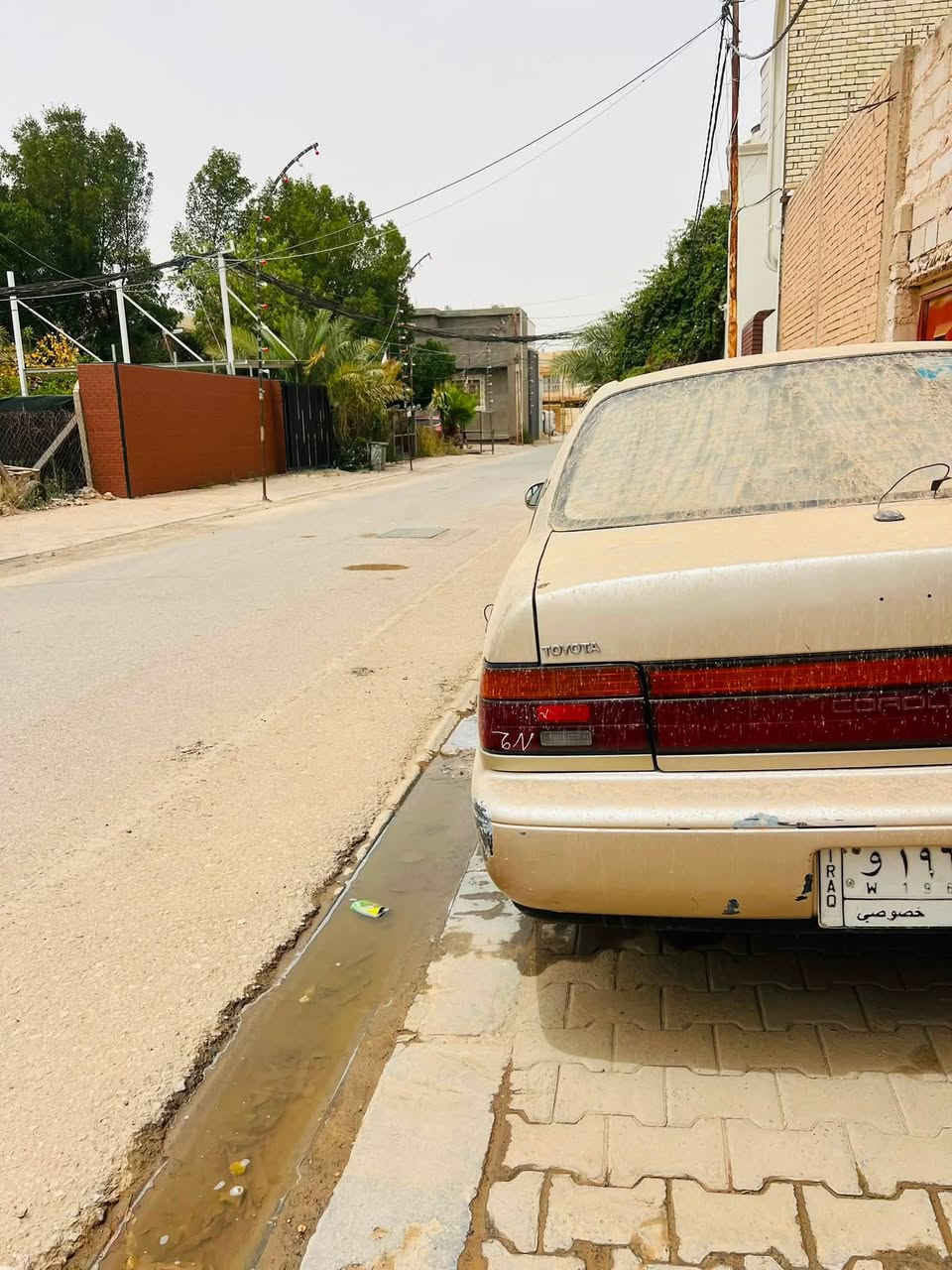 السلام عليكم..لبيع
كورله موديل 92 يسره بلاد السياره فتحه مكينه وكير مكفولات
رقم بغداد السياره جاهزه مصبوغه جماليه  مشط جديد عنبار جديد دوشمه خليه هم جديده وكله واضح بالصور التبريد معوز فقط كمبرسر والسياره احلى من الصور مكاني نجف
رقمي هذا بي فقط واتساب

***********
وهذا رقمي الثاني اتصال ع الخط 
***********
