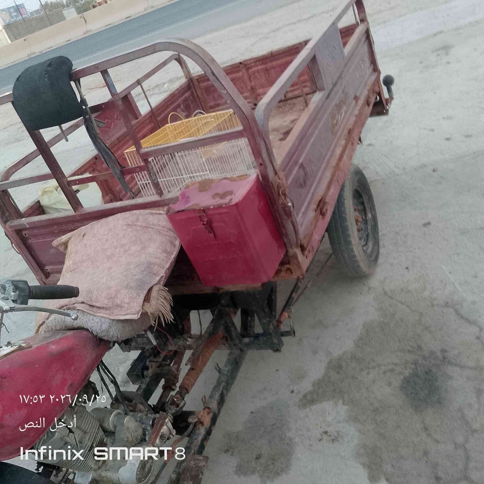 ستوته لبيع كلك كللك ب 500وبيه مجال شاصي وركبه مابيهن لحيم ولا خياس  بس يم الهندر راصطه محرك ناعم  اليريده يراسلني خاص

نص مكتوب في الصور:
- ١٧:٠٢ ٢٠٢٦/٠٩/٢٥
- أدخل النص
- Infinix SMART 8
- ١٧:٥٢ ٢٠٢٦/٠٩/٢٥
- ١٧:٥٣ ٢٠٢٦/٠٩/٢٥ أدخل النص Infinix SMART 8
- ١٧:٥٣ ٢٠٢٦/٠٩/٢٥