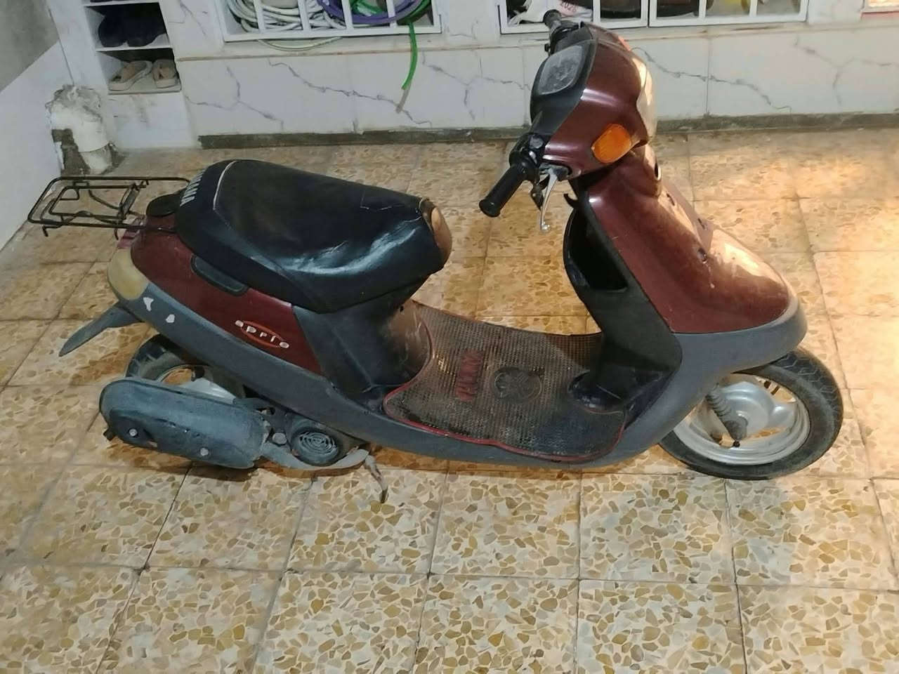 بوتين • شاصي شرط • معمر